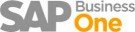 SAP SBO e1362782266447