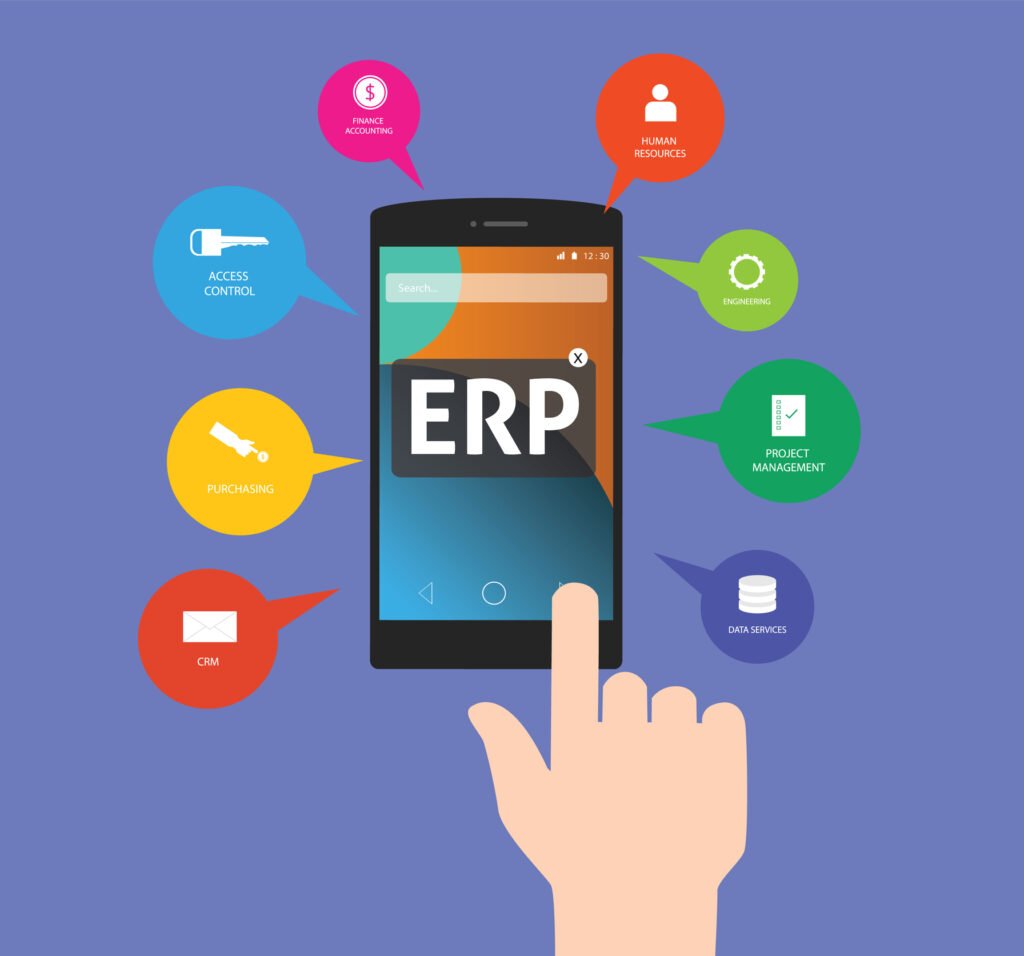 Sistema ERP 2