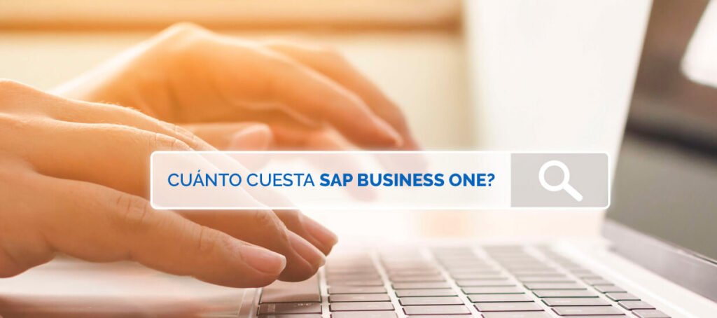 banner sap business one 2