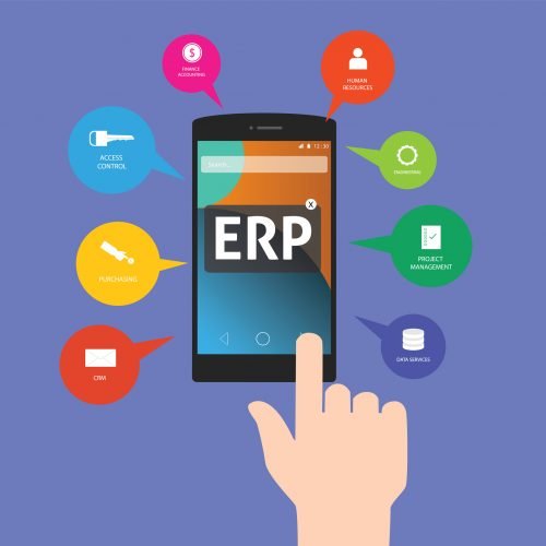 Sistema ERP 2 500x500 1